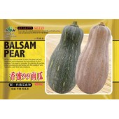 广东爱普农 香蜜99南瓜种子 新一代南瓜品种 有香芋蜜甜香味 单瓜重1.5-2.5kg 产量高 耐贮运 8克装