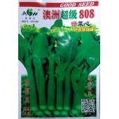 广东爱普农 澳洲超级808甜菜心种子 最新育成 粗条花苔大 抗病 抗雨 耐寒性好 菜心种子 200克装