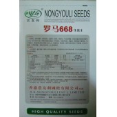 广东爱普农 罗马668生菜王种子 耐寒 耐抽苔 菜型美观 持续采收期长 生菜种子 25克装
