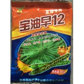 宝油早12号观赏性油菜花种子 国审品种 早熟 花淡黄色  广东全生育期约130天 花期长 适合全国种植 油菜花种子 500克装