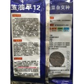 宝油早12号观赏性油菜花种子 国审品种 早熟 花淡黄色  广东全生育期约130天 花期长 适合全国种植 油菜花种子 500克装