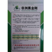 广东爱普农 非洲黑金刚黑茄种子 果皮有乌金光泽 果型棒状 蔬菜基地首选 茄子种子 5克装