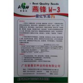 广东爱普农 燕锋紫红长茄种子 中晚熟 对青枯病及褐纹病有比较强的抗性 果色深紫 高温不变色 茄子种子 600粒装