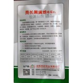 湖南湘研 亮长黑满地冬瓜种子 长炮弹型 墨绿色 内腔小 瓜长85-90厘米 冬瓜种子 200粒装