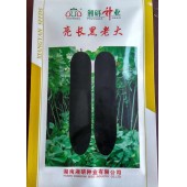 湖南湘研 亮长黑老大冬瓜种子 长炮弹型 肉厚6厘米左右 瓜型整齐 头尾粗度一致 冬瓜种子 200粒装