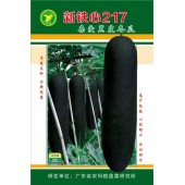 广东粤蔬 新铁心217冬瓜种子 果实炮弹型 皮墨绿色 瓜长约80-85厘米 肉厚 空腔小 冬瓜种子 15克装