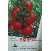 广东爱普农 金皇冠168番茄种子 中早熟杂交品种 果型扁圆 深红亮丽 高抗叶霉病  抗烟草花叶病毒 黄萎病和枯萎病 番茄种子 5克装