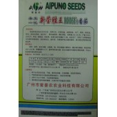 广东爱普农 新莹胜王1006番茄种子 综合抗性强 单果重200-250克 耐裂果 适应性广 全国客商的首选品种 番茄种子 5克装