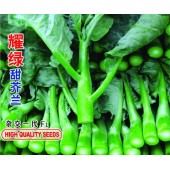 广东爱普农 耀绿芥兰种子 最新育成 生长强壮 叶厚深绿色 腊粉少 抗病性强 纤维少 品质优 芥兰种子 40克罐装
