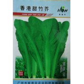 广东爱普农 香港甜竹芥种子 生长快 品质好 播种30天可收获 产量高 4抗病力特强 竹芥种子 400克装