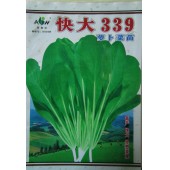 广东爱普农 快大339萝卜苗种子 青菜萝卜两用型 抗热 抗病 抗雨水 早熟快大 萝卜苗种子 400克装