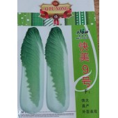 广东爱普农 快美9号快菜种子 叶椭圆形 冬性强 遇冷不易抽苔 耐寒 耐湿 快菜种子 10克装