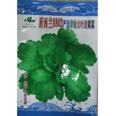 广东爱普农 新西兰8802翠绿大叶茼蒿种子 生长快速 叶大 翠绿爽甜 抗热性强 夏秋可栽培 茼蒿种子 200克装