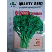广东爱普农 皇帝3638光杆茼蒿种子 耐热 耐寒 叶小而薄 底部无杂叶 播后40天可采收 品质极佳 茼蒿种子 200克装