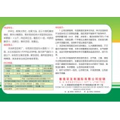 香港农友利 严选改良黑美人种子 果实长椭圆形 单果重4-6公斤 肉色深红色 糖度高 不裂果 耐贮运 西瓜种子 10克装