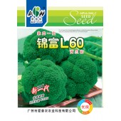 广东爱普农 锦富L60西兰花种子 早中熟 定植后60-65天初收 花球青绿 抗病性强 延期采收仍保持较好的外观和商品性 西兰花种子 5克装