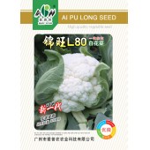 广东爱普农 锦旺L8白花菜种子 中晚熟 花球紧促 洁白美观 商品性高 口感佳 耐寒耐湿 花椰菜种子 5克装