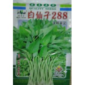 广东爱普农 白仙子288尖叶苋菜种子 早熟 淡绿色 白梗 纤维少 无公害蔬菜品种 苋菜种子 200克装