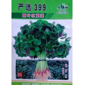 广东爱普农 严选399圆叶红苋菜种子 叶面微皱 叶边绿色 味美 纤维少 抽苔较迟 苋菜种子 400克装
