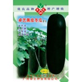 广州卓艺 黑皮冬瓜种子 加长型 颜色黑亮 炮弹型冬瓜领军品牌 瓜长圆形 长约65-80公分 冬瓜种子 25克装