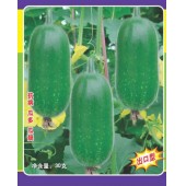 清远清蔬 粤农9号节瓜种子 抗寒 抗病 优质 高产 节瓜种子 30克装