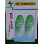 广东爱普农 金娃娃娃菜种子 单球重250-300...