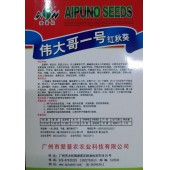 广东爱普农 伟大哥一号红秋葵种子 红色果实 绿色健康食品 5克装