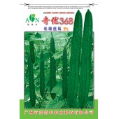 广东爱普农 奇优368长绿丝瓜种子 瓜长约55-65厘米 产量高 抗病性强 瓜形首尾匀称 丝瓜种子 20克装