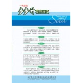 广东爱普农 步步升漂亮花点丝瓜种子 最新引进品种 有花点 连续座果能力 特别高产 不易老化 丝瓜种子 10克装