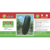 广东粤蔬 天龙杂交大冬瓜种子 最新育成黑皮冬瓜 抗病抗逆性强 瓜长约58厘米 横径23厘米左右 肉质致密 浅棱沟 30克罐装