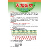 广东粤蔬 天龙杂交大冬瓜种子 最新育成黑皮冬瓜 抗病抗逆性强 瓜长约58厘米 横径23厘米左右 肉质致密 浅棱沟 15克装