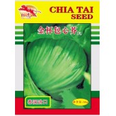 江苏正大 金杯包心芥种子 中晚熟 耐热抗逆 结球紧实 球形美观 单球重1.5公斤 包心芥种子 50克装