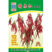 河南豫鼎红精忠红朝地椒种子 干椒革命性新品种  加工香辣酱 红油辣椒 火锅底料 辣椒面最佳原料 辣椒种子 5克装