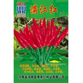 河南豫鼎红种业 满江红朝天椒种子 杂交一代簇生朝天椒新品种 红熟后深红油亮 适合大棚西瓜套种 早春茬 辣椒种子 5克装