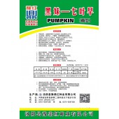 河南豫鼎红 黑妹七叶早南瓜种子 早熟 圆条形 嫩瓜墨绿色 果长约30cm 顶部稍大 南瓜种子 10克装 南瓜种子