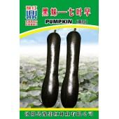 河南豫鼎红 黑妹七叶早南瓜种子 早熟 圆条形 嫩瓜墨绿色 果长约30cm 顶部稍大 南瓜种子 10克装 南瓜种子