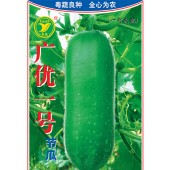 广东粤蔬 广优一号节瓜种子 广东农科院选育  适播1-4月 7-8月 节瓜种子 20克装
