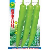 广东粤蔬 福康五号黄皮尖椒种子 广东农科院选育 亩产4500公斤 耐贮运 辣味 尖椒种子 8克装