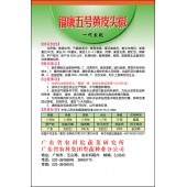 广东粤蔬 福康五号黄皮尖椒种子 广东农科院选育 亩产4500公斤 耐贮运 辣味 尖椒种子 8克装