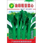 广东粤蔬 油绿粗苔菜心种子 广东农科院选育 播种至初收约30天 亩产量1500公斤 菜心种子 40克装