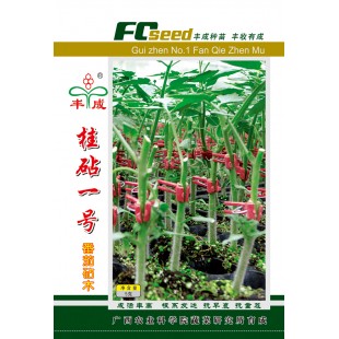 广西农科院 桂砧一号番茄砧木种子 嫁接番茄亲和力好 成活率高 根系发达 嫁接植株长势旺盛 抗青枯病效果达98% 抗早衰 抗重茬 番茄砧木 5克装