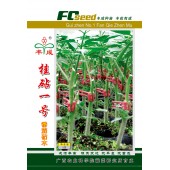 广西农科院 桂砧一号番茄砧木种子 嫁接番茄亲和力好 成活率高 根系发达 嫁接植株长势旺盛 抗青枯病效果达98% 抗早衰 抗重茬 番茄砧木 5克装