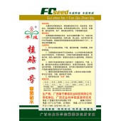 广西农科院 桂砧一号番茄砧木种子 嫁接番茄亲和力好 成活率高 根系发达 嫁接植株长势旺盛 抗青枯病效果达98% 抗早衰 抗重茬 番茄砧木 5克装