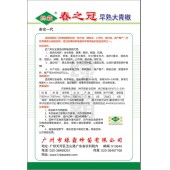 广州绿霸 春之冠早熟大青椒种子 膨大快 辣味浓 上市早 卖价高 高产稳产 青椒种子 5克装