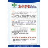 广州绿霸 东方翠宝苦瓜种子 早熟 高产 果靓 果实长30-35厘米 珍珠苦瓜种子 50粒装