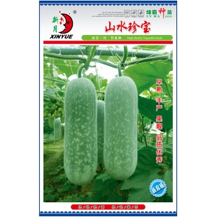广州绿霸 山水珍宝节瓜种子 最新品种 抗病强 品质好 嫩瓜淡绿色有白斑 老瓜披白色蜡粉 结果能力强 节瓜种子 100粒装