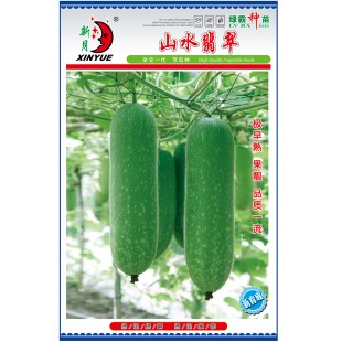 广州绿霸 山水翡翠节瓜种子 极早熟 长势旺盛 抗病性强 嫩瓜浅绿色有白斑 老瓜翠绿有白斑无蜡粉 节瓜种子 100粒装