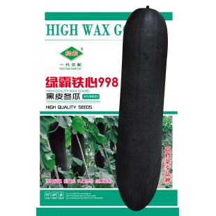 广州绿霸 绿霸铁心998冬瓜种子 高档杂交品种 瓜肉紧实 心室小 头尾均匀 长约80厘米 瓜皮墨绿色 冬瓜种子 200粒装
