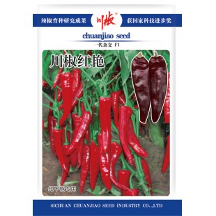 四川川椒 川椒红艳色素椒种子 色素椒专用品种 特早熟 辣味浓 抗病力强 脱水快 色素含量高 辣椒种子 10克装