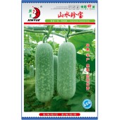 广州绿霸 山水珍宝节瓜种子 最新品种 抗病强 品质好 嫩瓜淡绿色有白斑 老瓜披白色蜡粉 结果能力强 节瓜种子 100粒装
